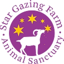 Seeking New Challenge logo