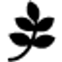 Starko Inc logo
