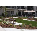 Star Landscape Inc logo