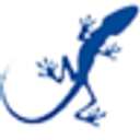 Starlizard Integrity Services logo