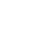STARTEDUP FOUNDATION INC logo