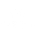 The STARTedUP Foundation Logo