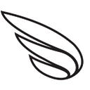 Startup Giants Plc logo