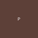 Stave Puzzles, Inc logo