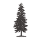 stayinnotl.ca icon