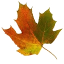 Sugar Mountain Realty   Dereka's logo