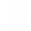 Stealth Health logo