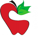 Steamboat Springs Education Fund logo