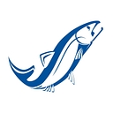 Steelhead Finance logo
