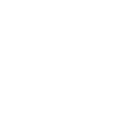 Steerbridge logo