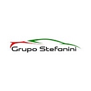 Stefanini logo