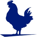 Steggles Limited logo