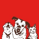 Stella and Chewy's logo