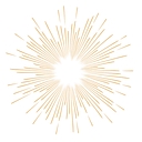 MacWild Limited logo
