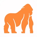 Stelorder logo