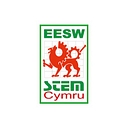 Engineering Education Scheme Wales Ltd / Stemcymru logo