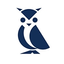 Stem Fellowship   Student Research And Innovation Network logo