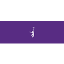 The Stephen a Comunale Jr logo