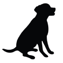 Sterling Pointe Veterinary Clinic