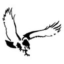 Stevens Foster Financial Advisors