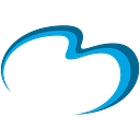 Stevenson Memorial Hospital logo