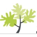 Stewart Financial logo