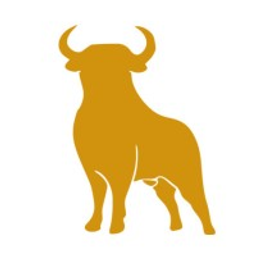 Stier Solutions Inc. logo