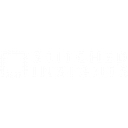 Stitched Insights logo