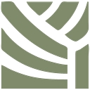Stoa Group logo