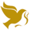Stoddard Baptist Home logo