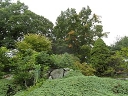 Stonecrop Gardens logo
