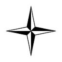 Logo for stoneisland.com
