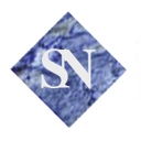 Stone Network logo