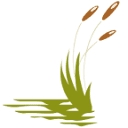 Stoney Brook of Hewitt