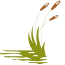 Stoney Brook of Hewitt