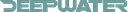Deepwater Corrosion Services, Inc. logo