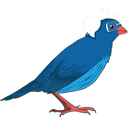 Bernie Sanders Campaign Store