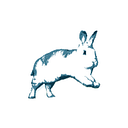 BinkyBunny.com House Rabbit Store