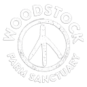 Woodstock Sanctuary Store