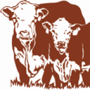 Leroy and Claris Strand Foundation logo