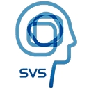 Favicon of Strategic Visionary Solutions, LLC