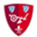 straubing.de icon