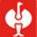 Strauss logo