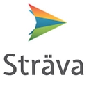 Sträva Technology Group logo