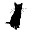 Stray Bombay Company logo