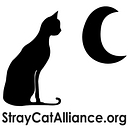Stray Cat Alliance