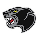 Stray Cat Industrial Services Ltd. logo