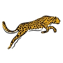Stride Events logo