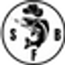 Strikeborn logo