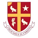 https://www.stthom.edu/ logo